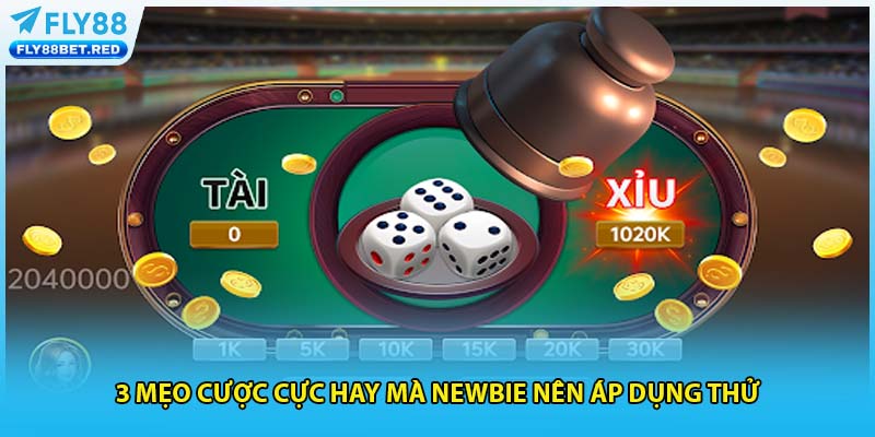 3 mẹo cược cực hay mà newbie nên áp dụng thử