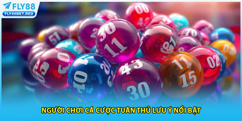 Người chơi cá cược tuân thủ lưu ý nổi bật